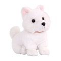 American Eskimo Pup