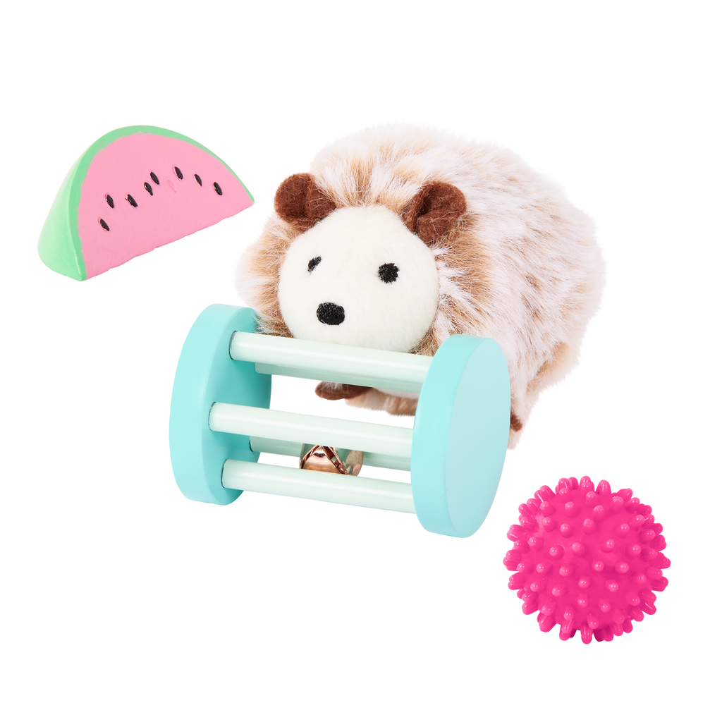 Pet Hedgehog Set