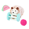 Pet Hedgehog Set