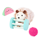 Pet Hedgehog Set