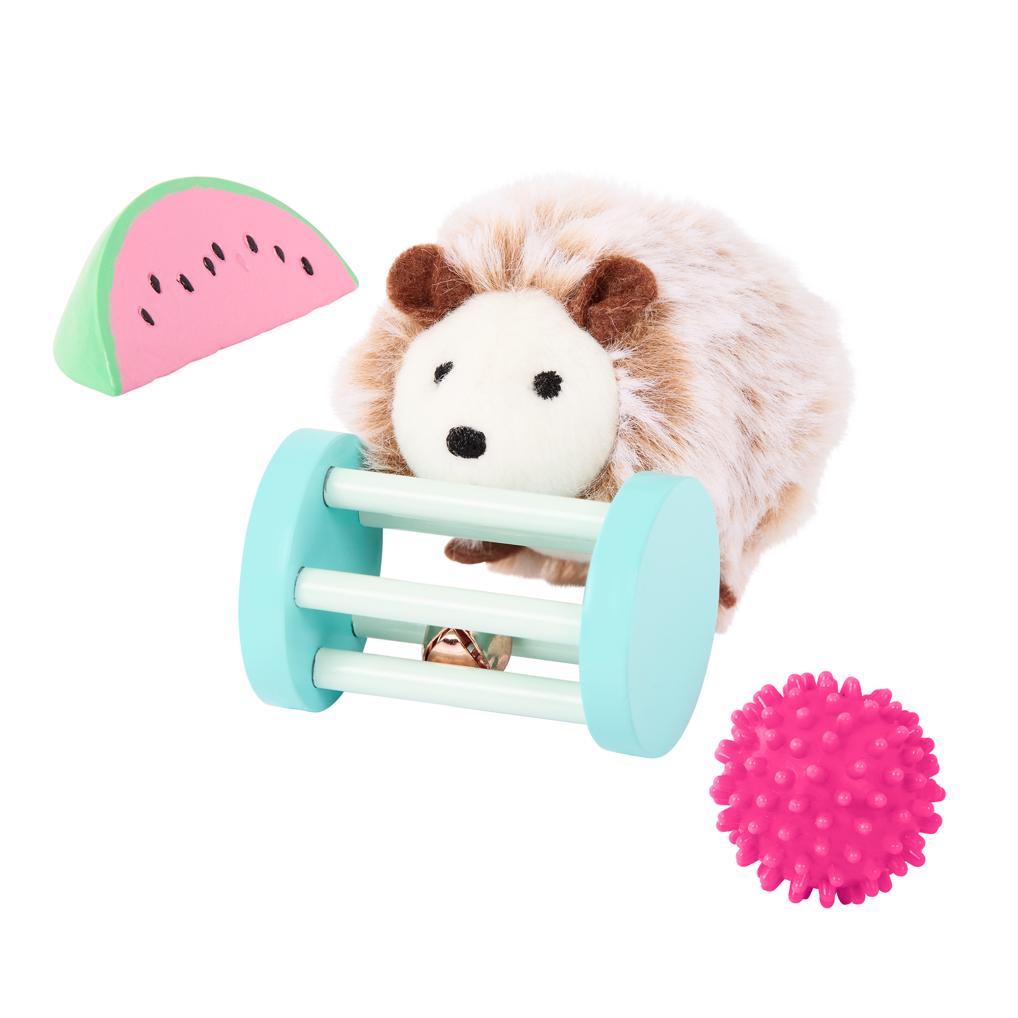 Pet Hedgehog Set
