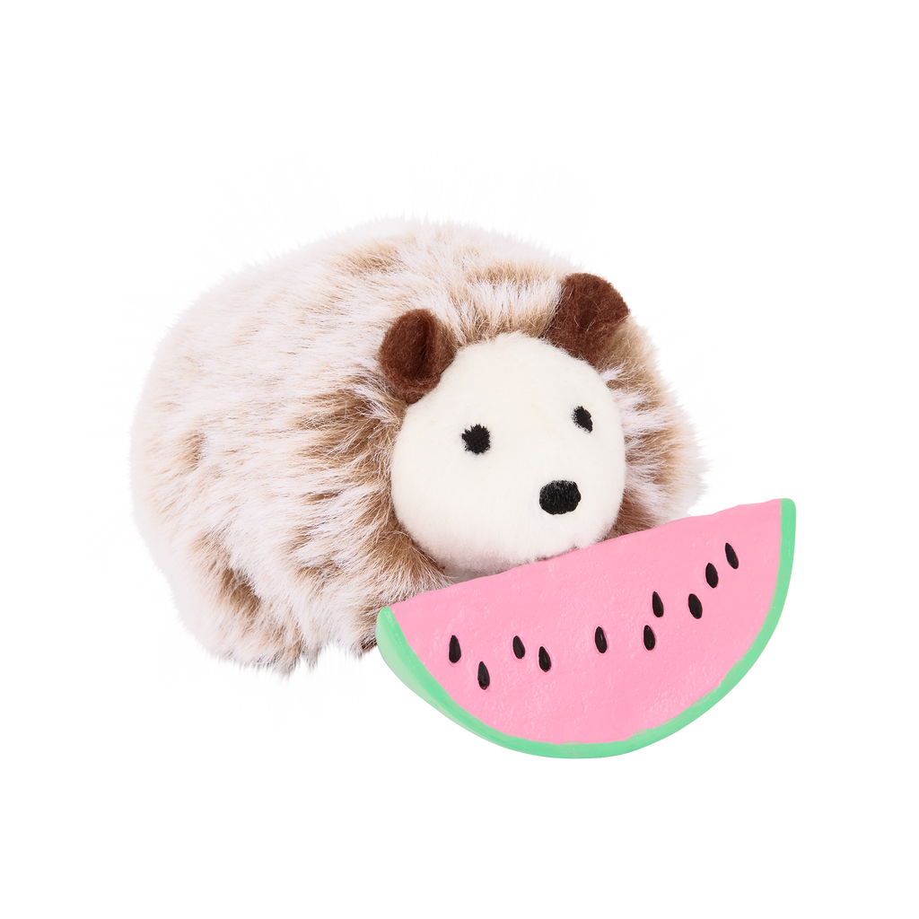 Pet Hedgehog Set