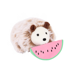 Pet Hedgehog Set