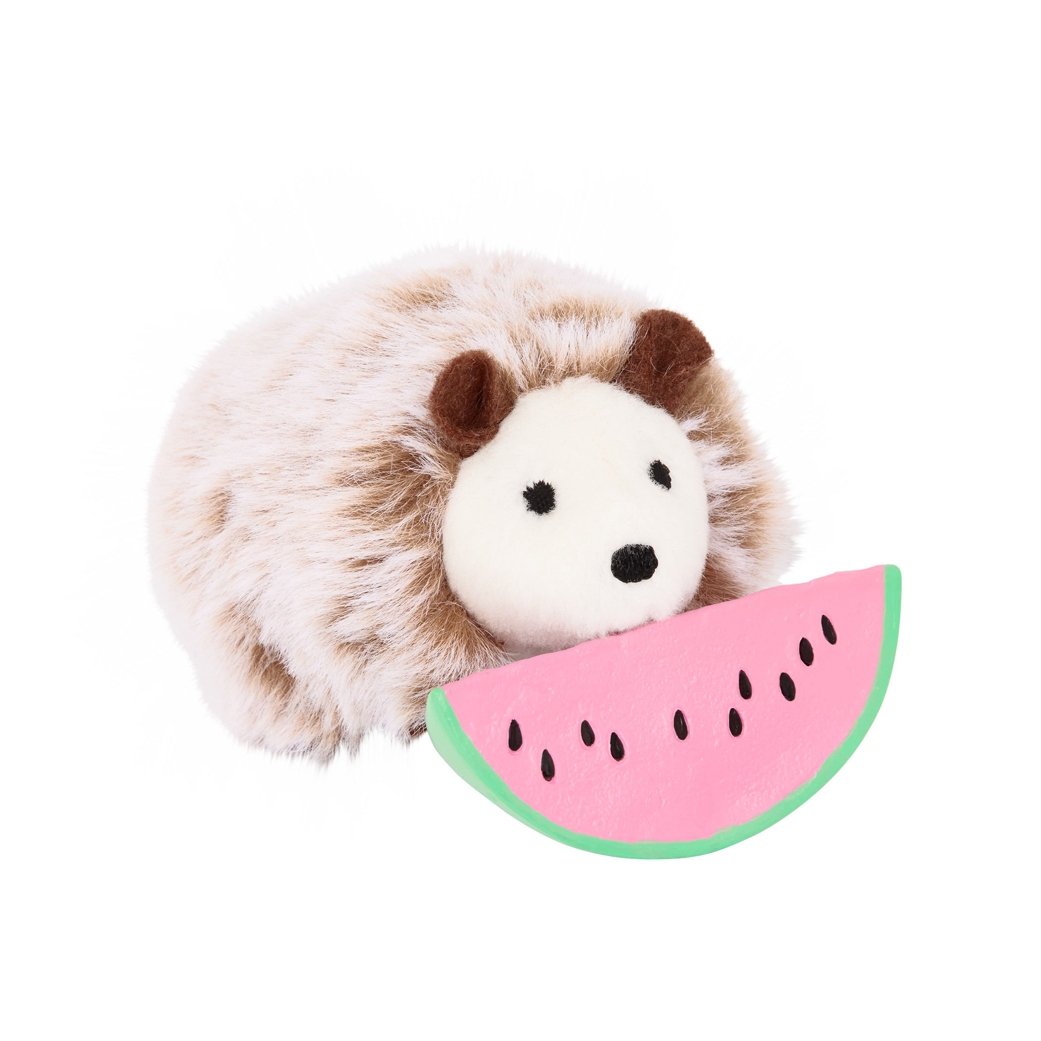 Pet Hedgehog Set