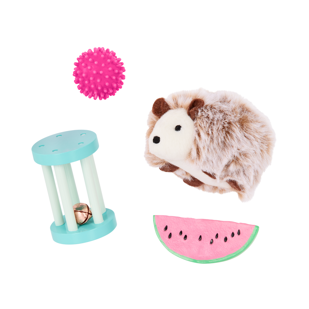 Pet Hedgehog Set