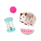 Pet Hedgehog Set