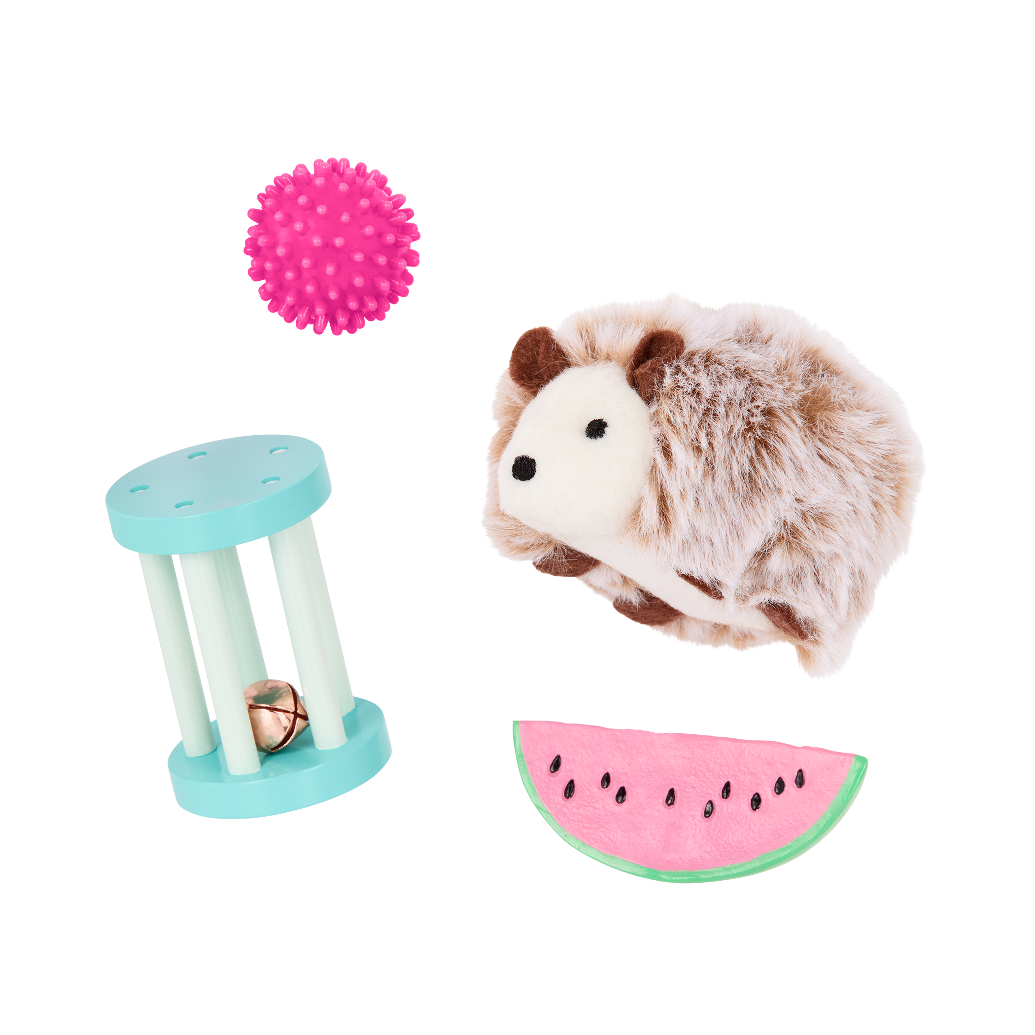Pet Hedgehog Set