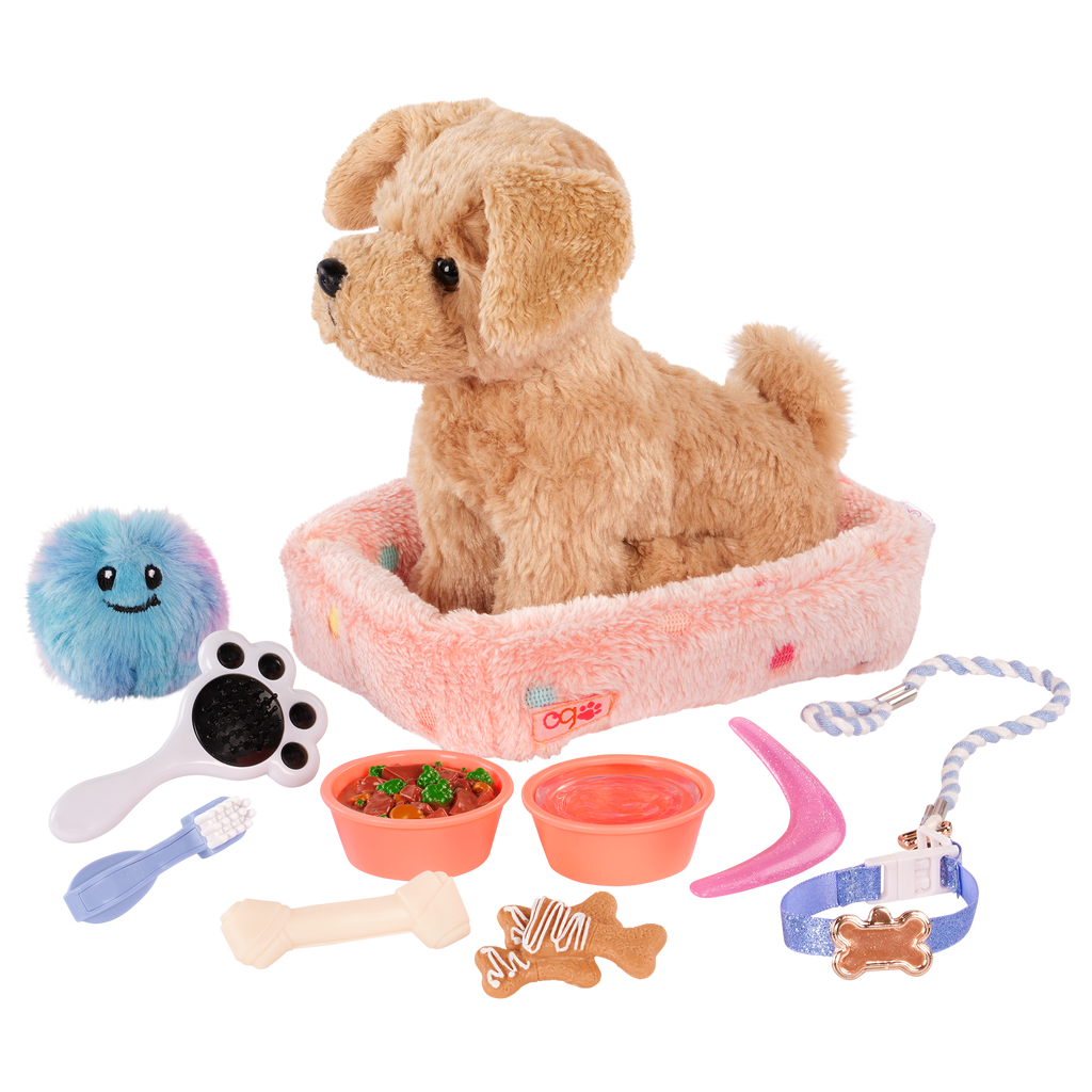 Puppy Care & Play