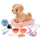 Puppy Care & Play