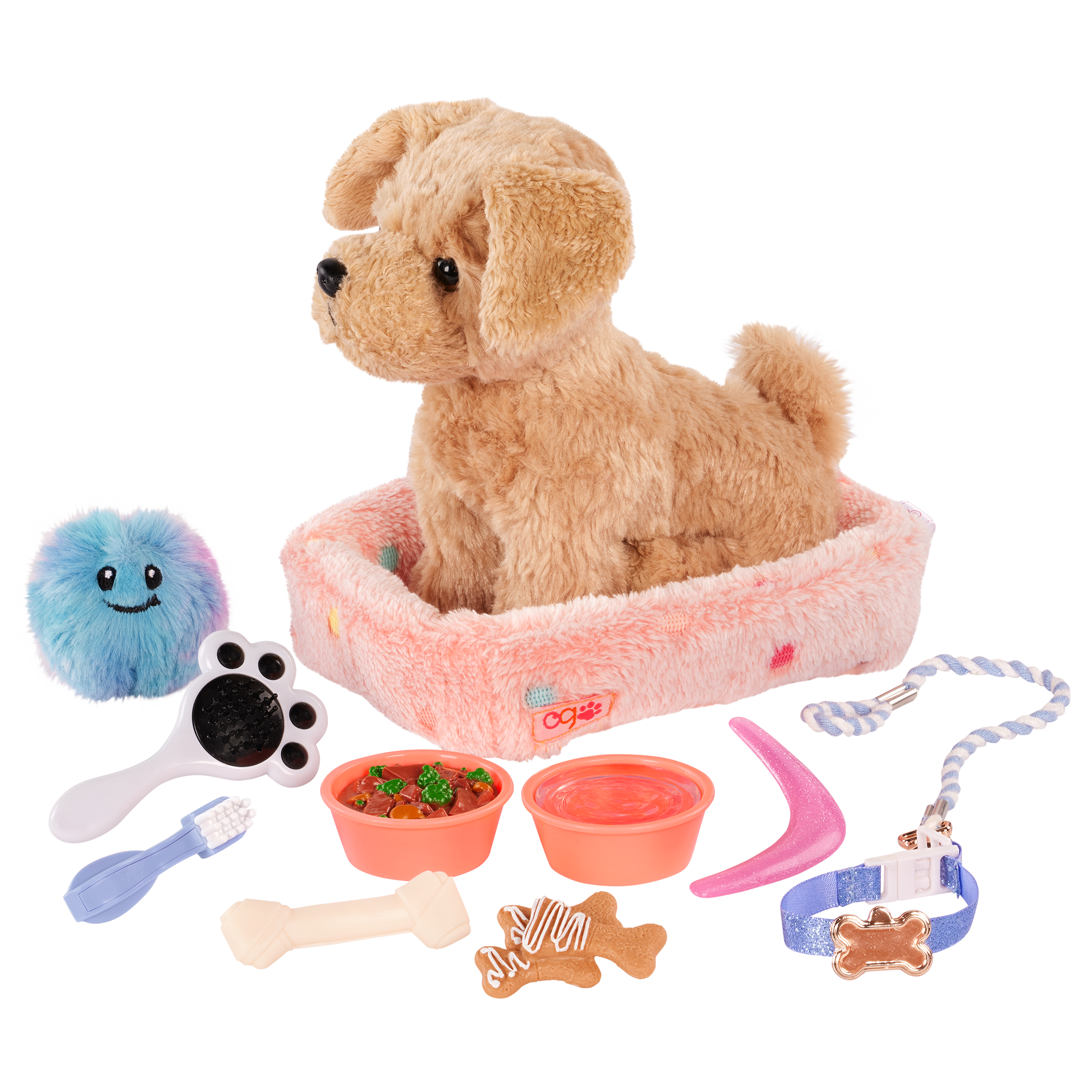 Puppy Care & Play