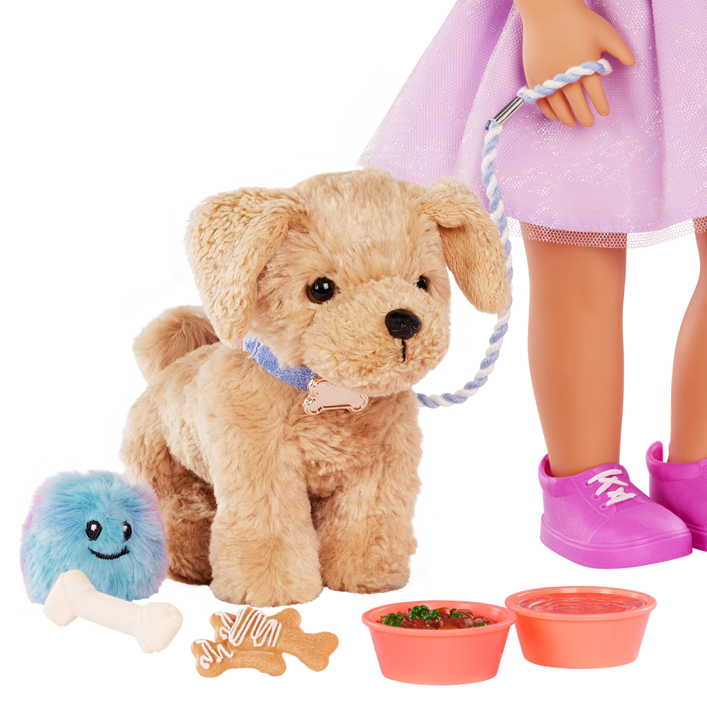 Puppy Care & Play