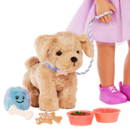 Puppy Care & Play