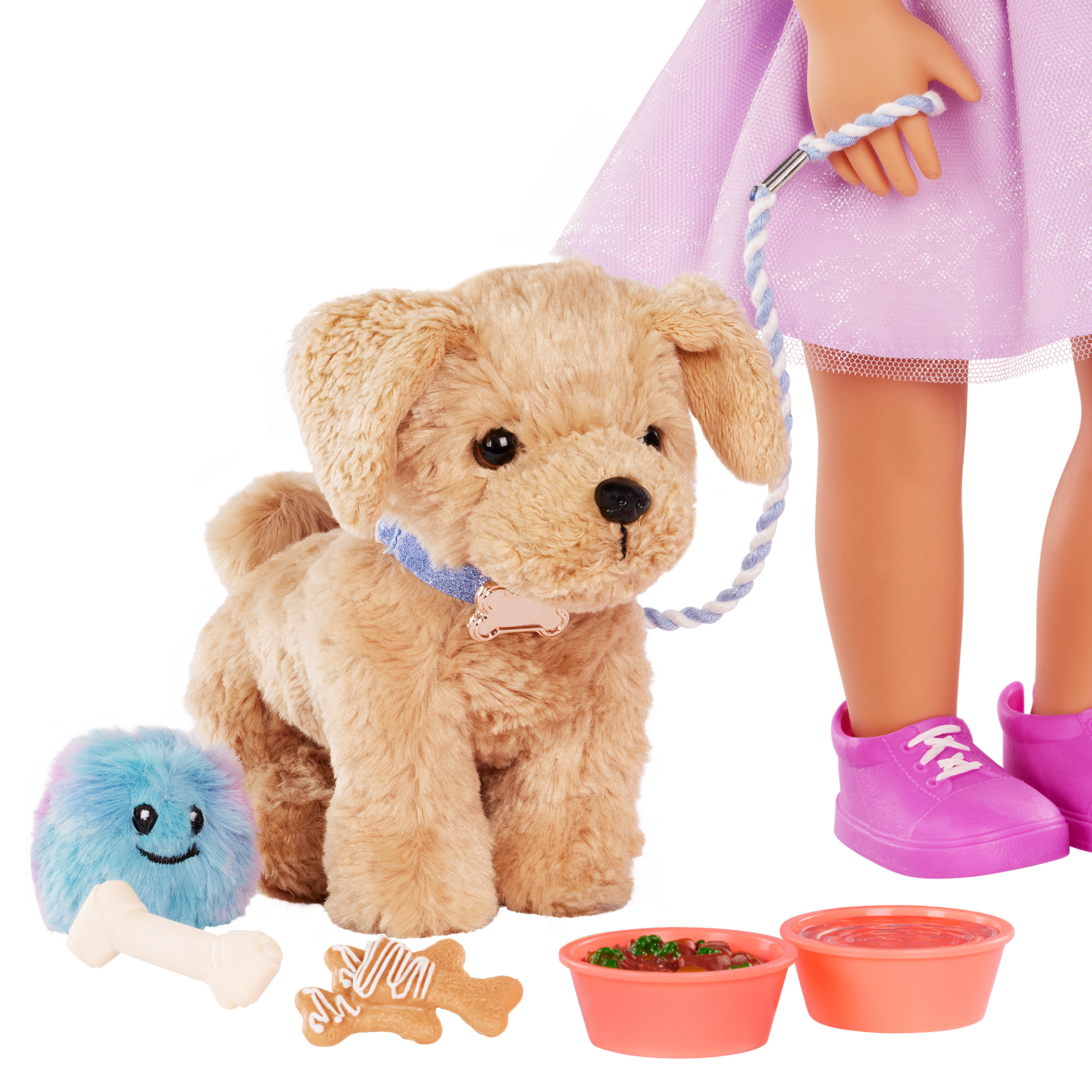 Puppy Care & Play