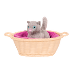 Cat Pet Set