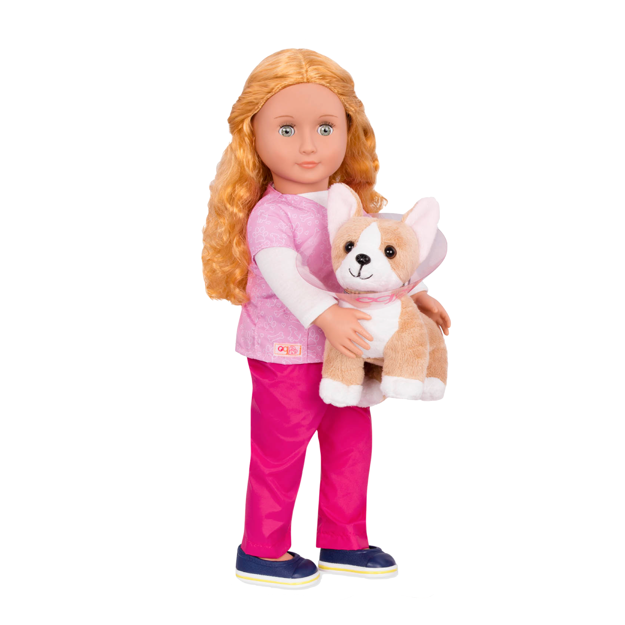 Corgi Pup