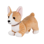 Corgi Pup