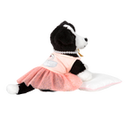 Pirouette Puppy