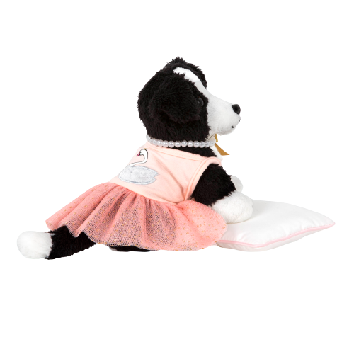 Pirouette Puppy