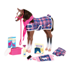 Quarter Horse Foal