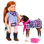 Quarter Horse Foal