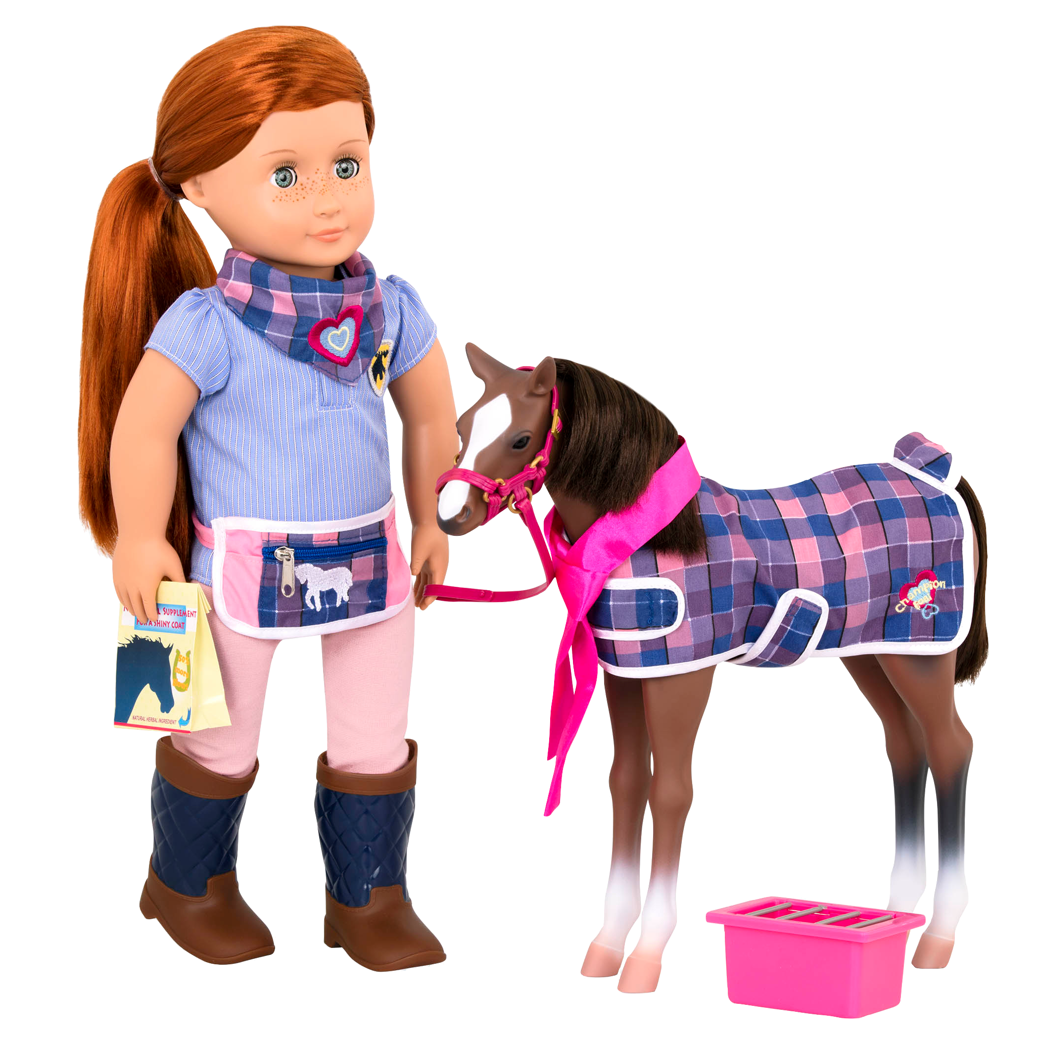 Quarter Horse Foal