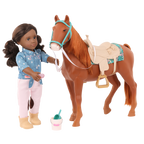 American Saddlebred Horse