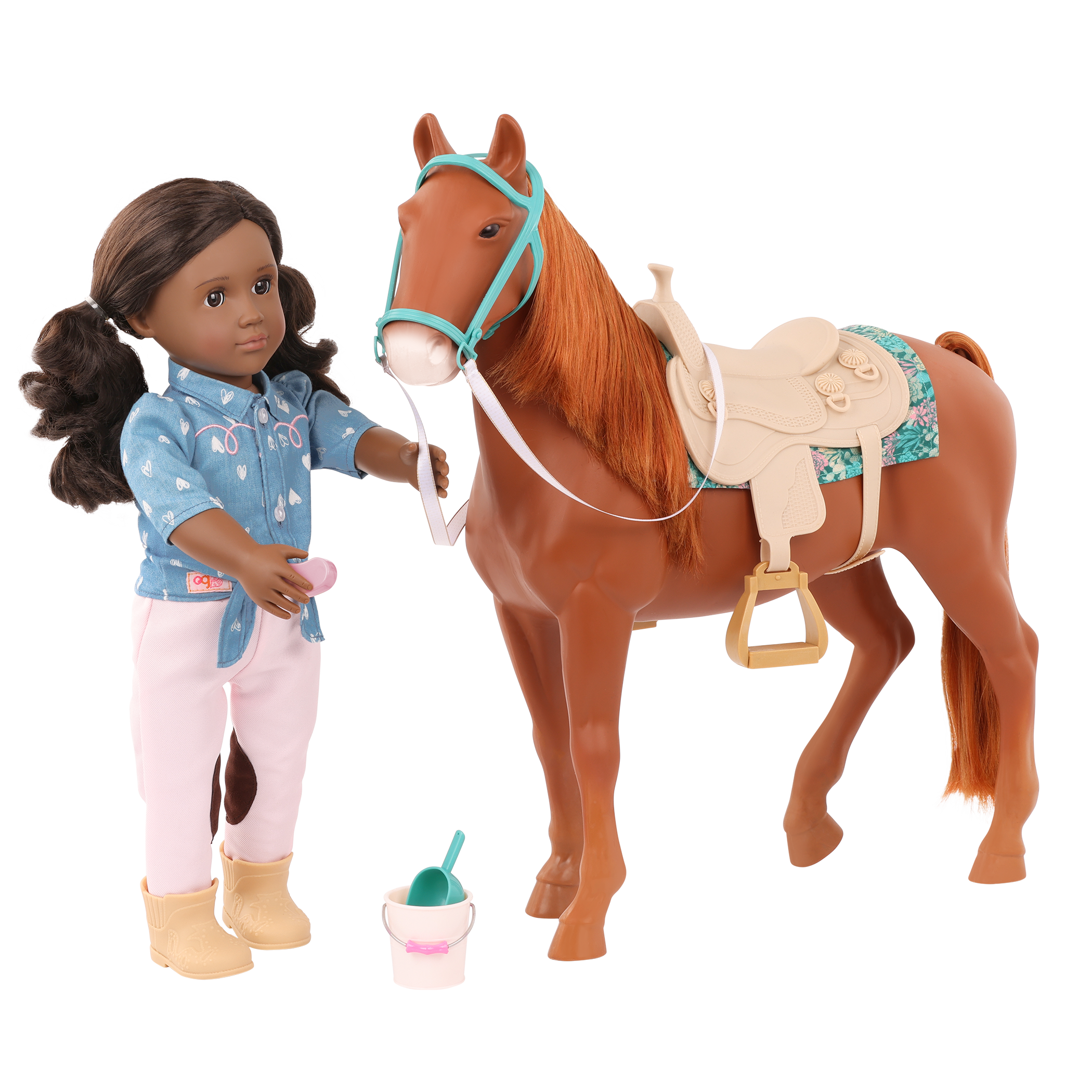 American Saddlebred Horse