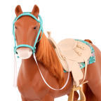American Saddlebred Horse