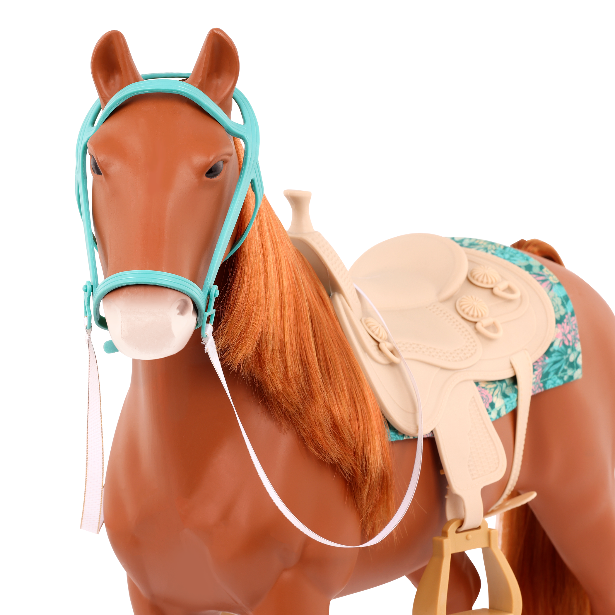 American Saddlebred Horse