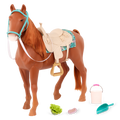 American Saddlebred Horse