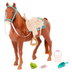 American Saddlebred Horse