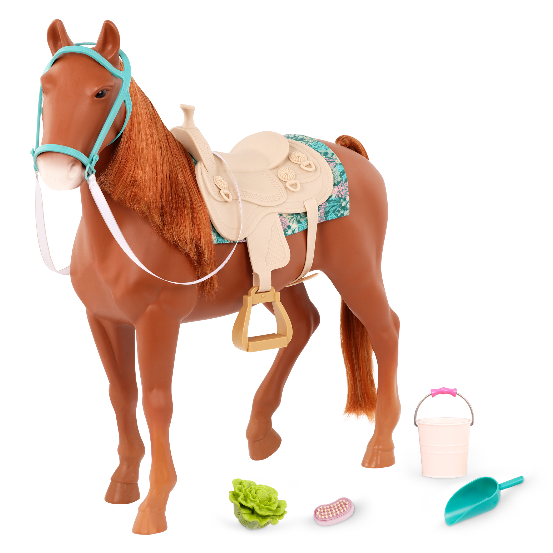 American Saddlebred Horse